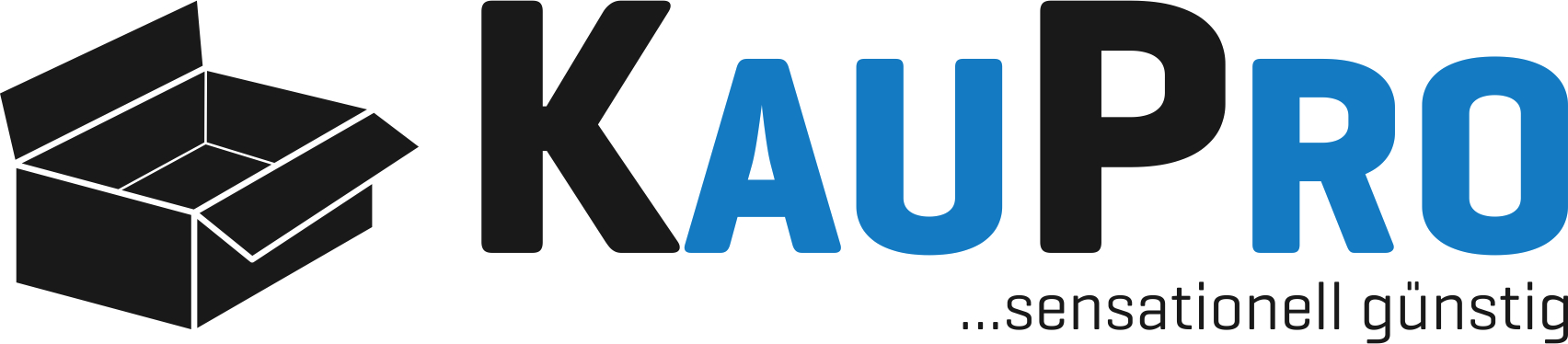 KauPro Logo fertig.jpg